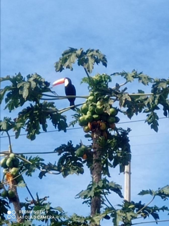 Chácara Recanto das Pedras para 10 pessoas Serra Negra  Exterior foto